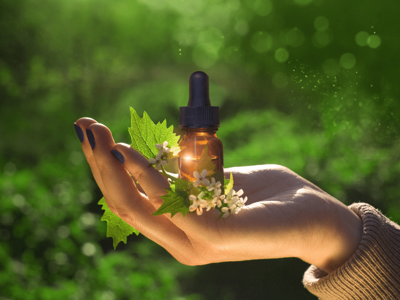 Prendre rendez-vous pour une séance d'accompagnement avec les Fleurs de Bach